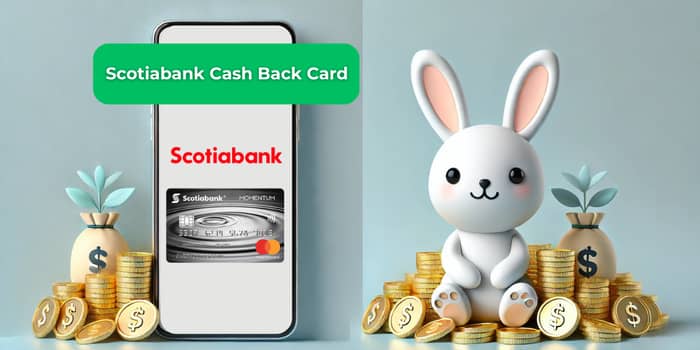 Scotiabank Cash Back Card: See everything you need to know